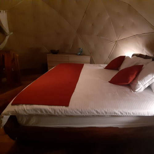 Lo Que Quieres es Glamping