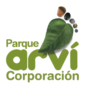 Lo Que Quieres es Divertirte