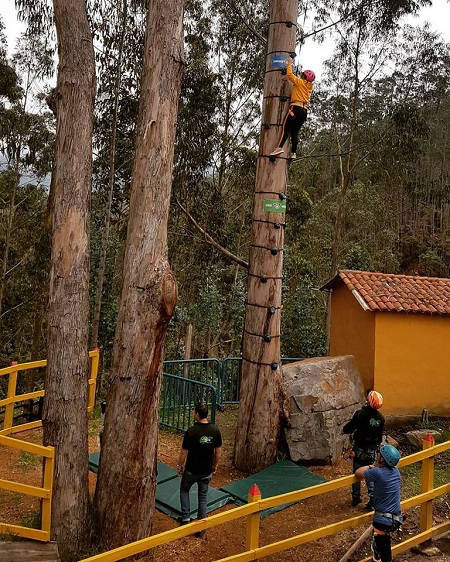 Lo Que Quieres es Divertirte