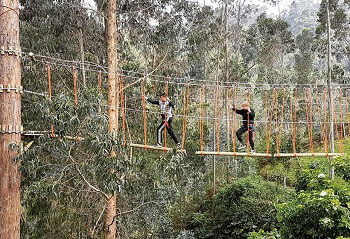 Lo Que Quieres es Parques