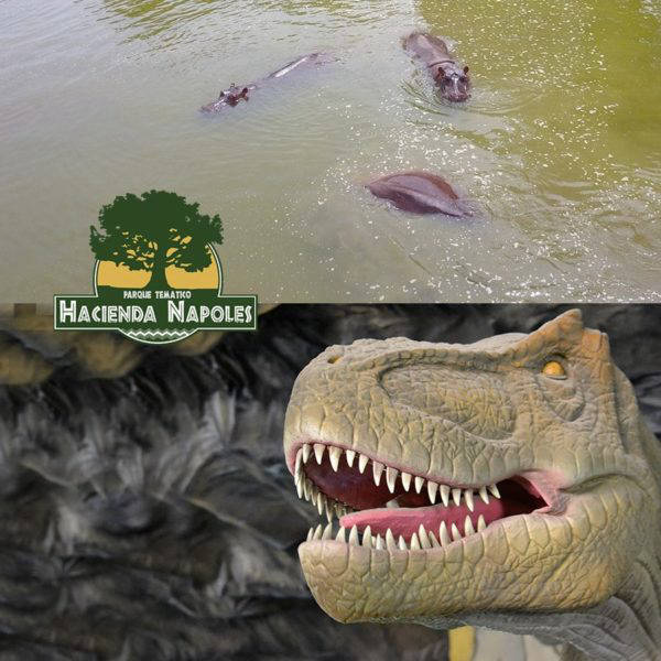 Parques En Colombia